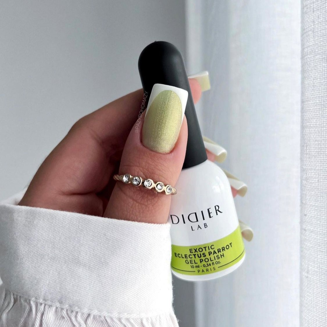 Gellak Didier Lab Exotic Eclectus Parrot