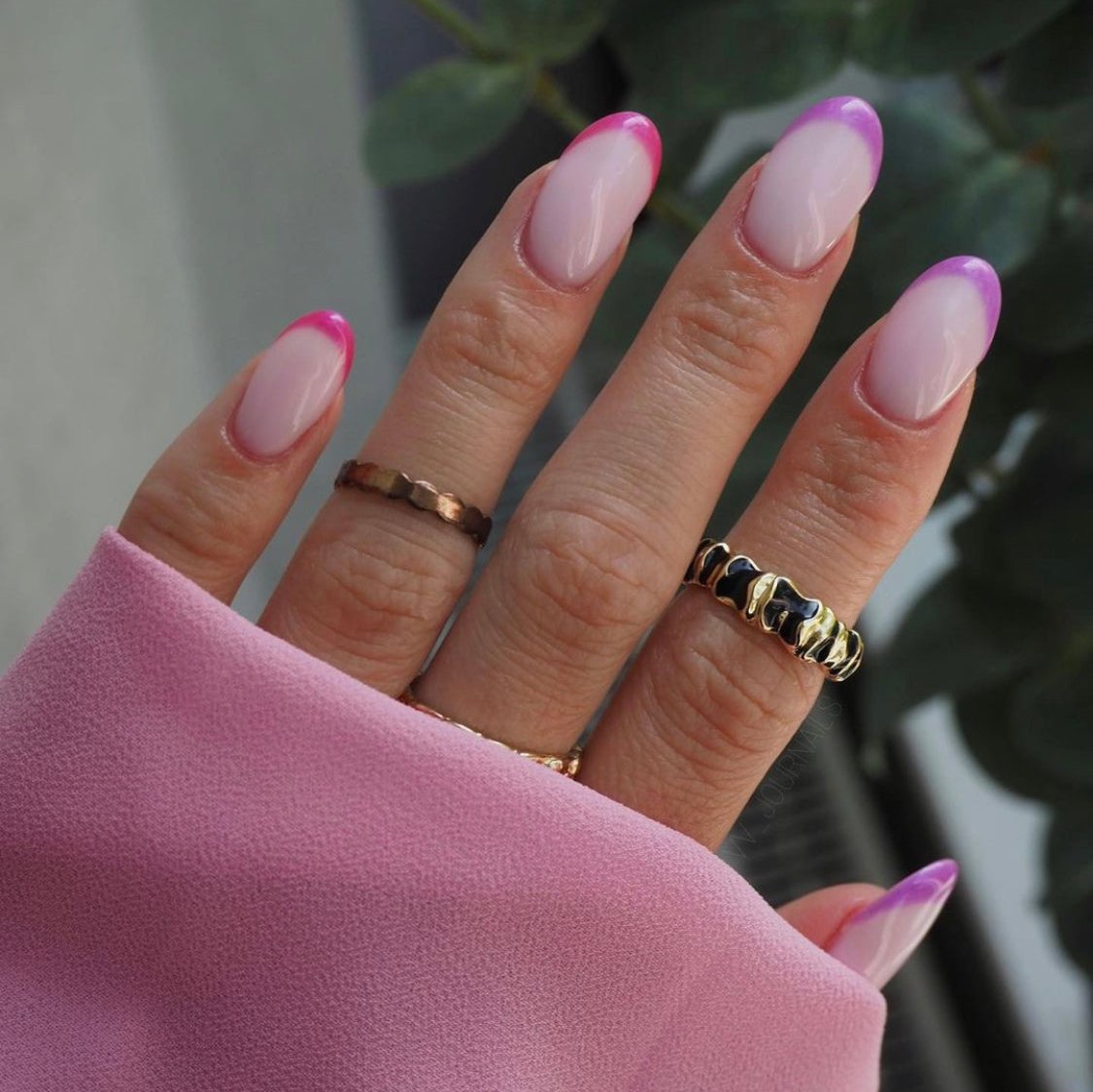 Gellak Didier Lab Exotic Angry Bird