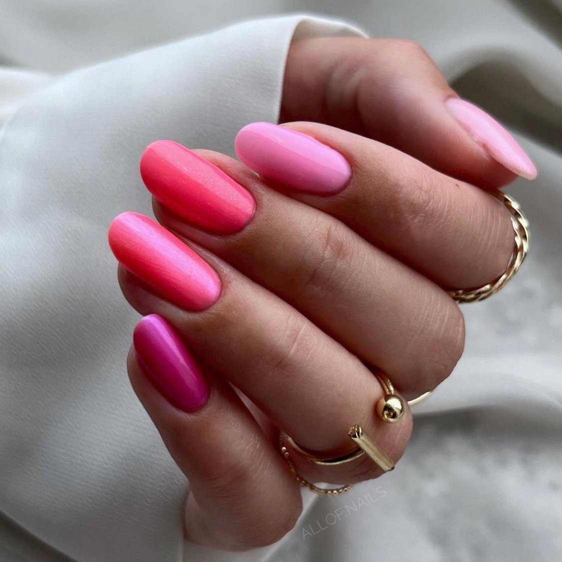 Gellak Didier Lab Exotic Parrot