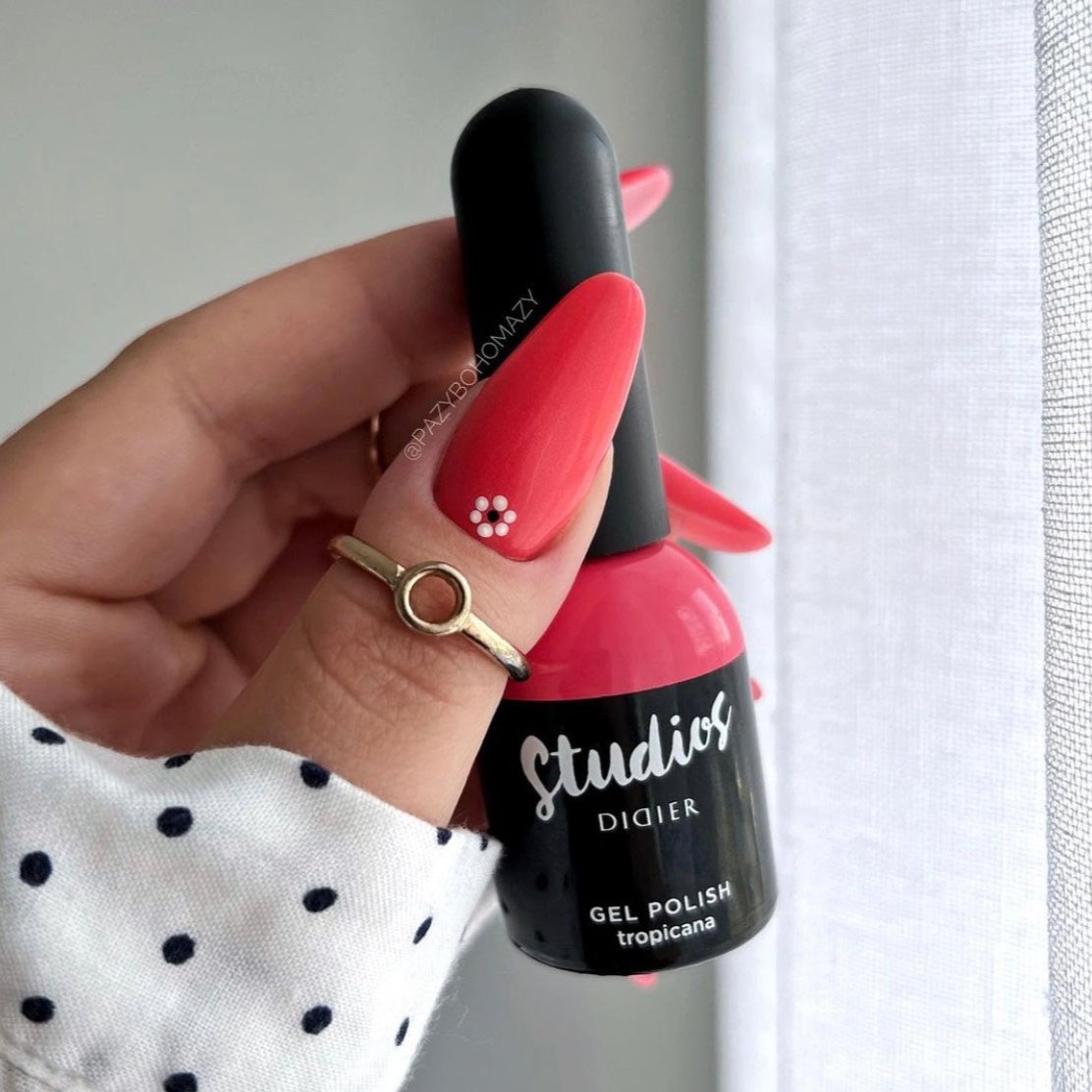 Gellak Studios Didier Tropicana