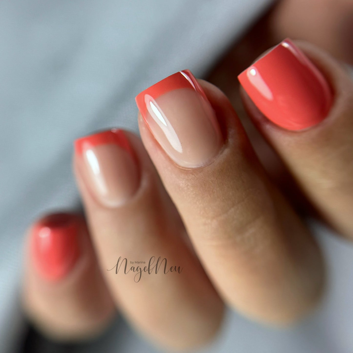 Gellak Studios Didier Fusion Coral